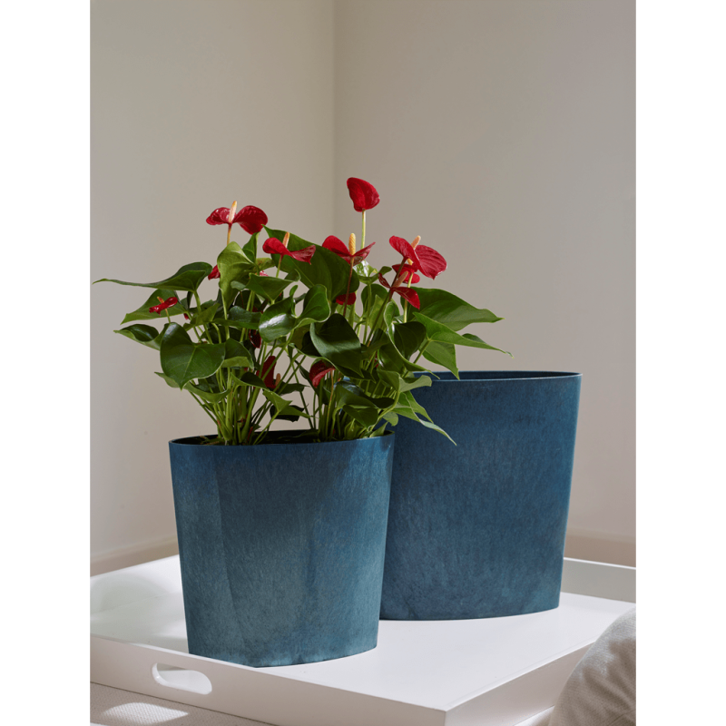 Artlumin Claire Oval Sapphire